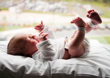 Células madre: razones para guardar la sangre del cordón umbilical