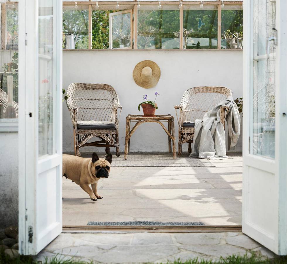 muebles mascotas perros gatos