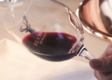 Cómo convertirse en un experto en vinos desde el salón de casa