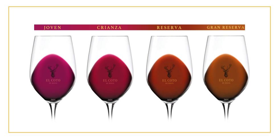 Cómo convertirse en un experto en vinos desde el salón de casa