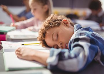 Los ritmos biológicos de los niños encajan mejor con la jornada escolar partida