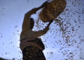 Alimentos que prejudicam o meio ambiente são também os piores à saúde