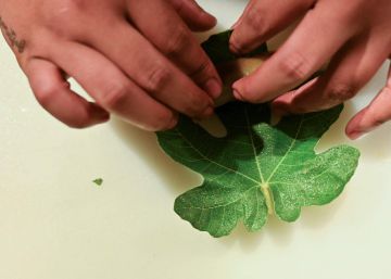 El derecho a la alimentación en el camino a la sostenibilidad