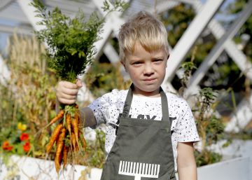 Cuentos que desarrollan la empatía de los niños hacia los animales