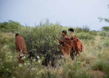 Justicia prehistórica