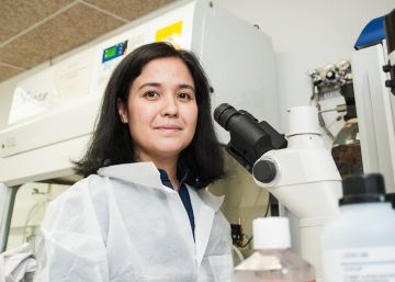 Una nueva tecnología pretende transformar el cáncer de pulmón en una enfermedad crónica