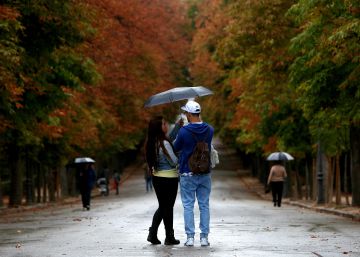 La primavera llega antes a las ciudades La primavera llega antes a las ciudades