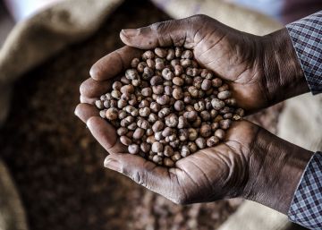 Semillas gratis para fomentar la biodiversidad y la riqueza