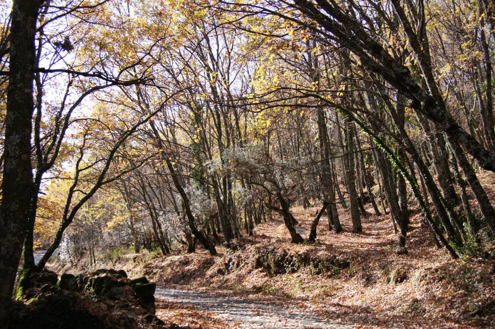 jardines otoño españa