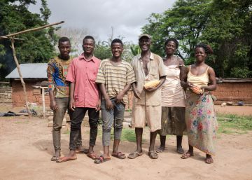 De los pesticidas al cultivo ‘bio’: Togo apuesta por el cacao ecológico