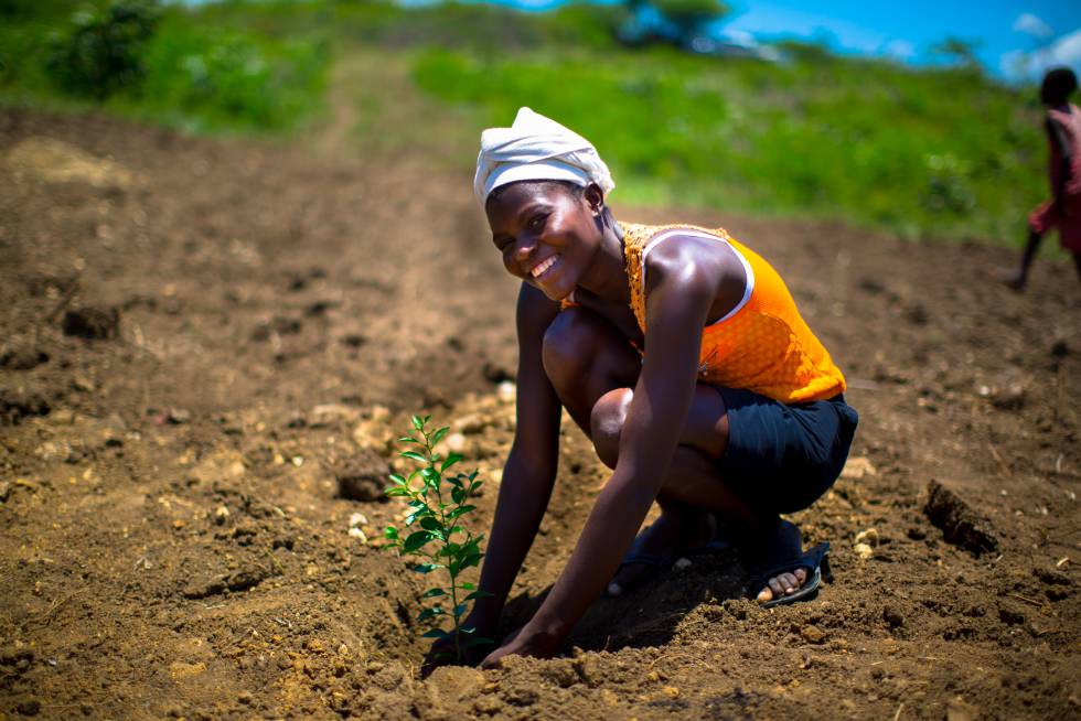 9 gestos sencillos que puedes seguir para ser un héroe del medioambiente
