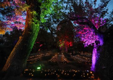 La Navidad también ilumina el Botánico