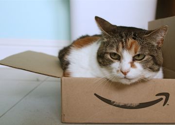 Si compras en Amazon te interesará este libro