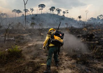 Los incendios en la Amazonia derriten los glaciares andinos