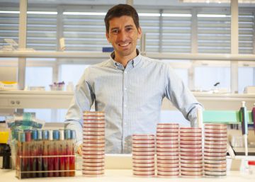 Reciclar antibióticos para acabar con la sífilis