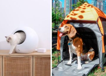 Los 10 mejores regalos de Navidad para perros y gatos