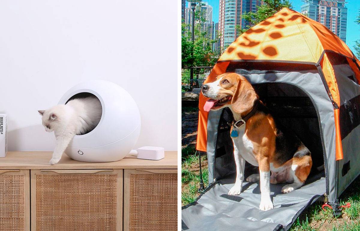 Los 10 mejores regalos de Navidad para perros y gatos