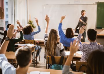 Los científicos achacan el suspenso del informe PISA a la poca especialización docente en Primaria