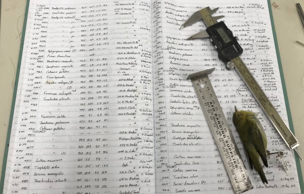 El libro de cuentas en el que, desde 1978, los ornitólogos del Museo Field anotaban los pájaros que recogen tras matarse contra los rascacielos.