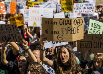 ¿Puede la literatura generar en los niños conciencia medioambiental?