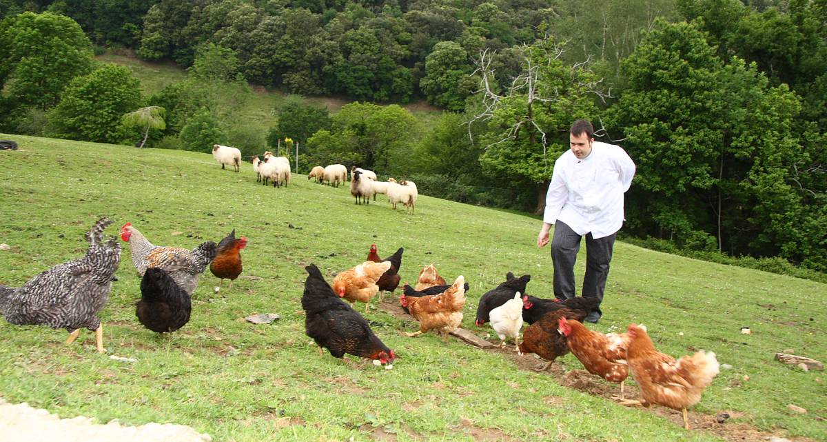 El cocinero Nacho Solana, del restaurante Solana, en Ampuero (Cantabria), alimentando a sus gallinas.