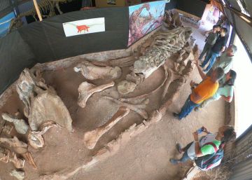 Bienvenidos a la Patagonia, la fábrica mundial de dinosaurios