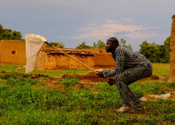 El pueblo africano que modificará los mosquitos genéticamente para combatir la malaria