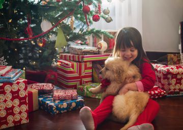 “¡Mamá, les he pedido a los Reyes Magos un perro!”