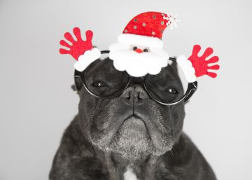 Cosas que vuelven por Navidad