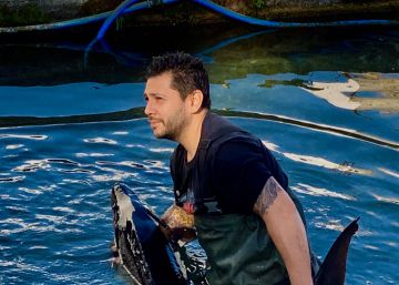 ¿Saturación de caviar? ¿A dónde va a parar la carne de los esturiones? ¿Saturación de caviar? ¿A dónde va a parar la carne de los esturiones?