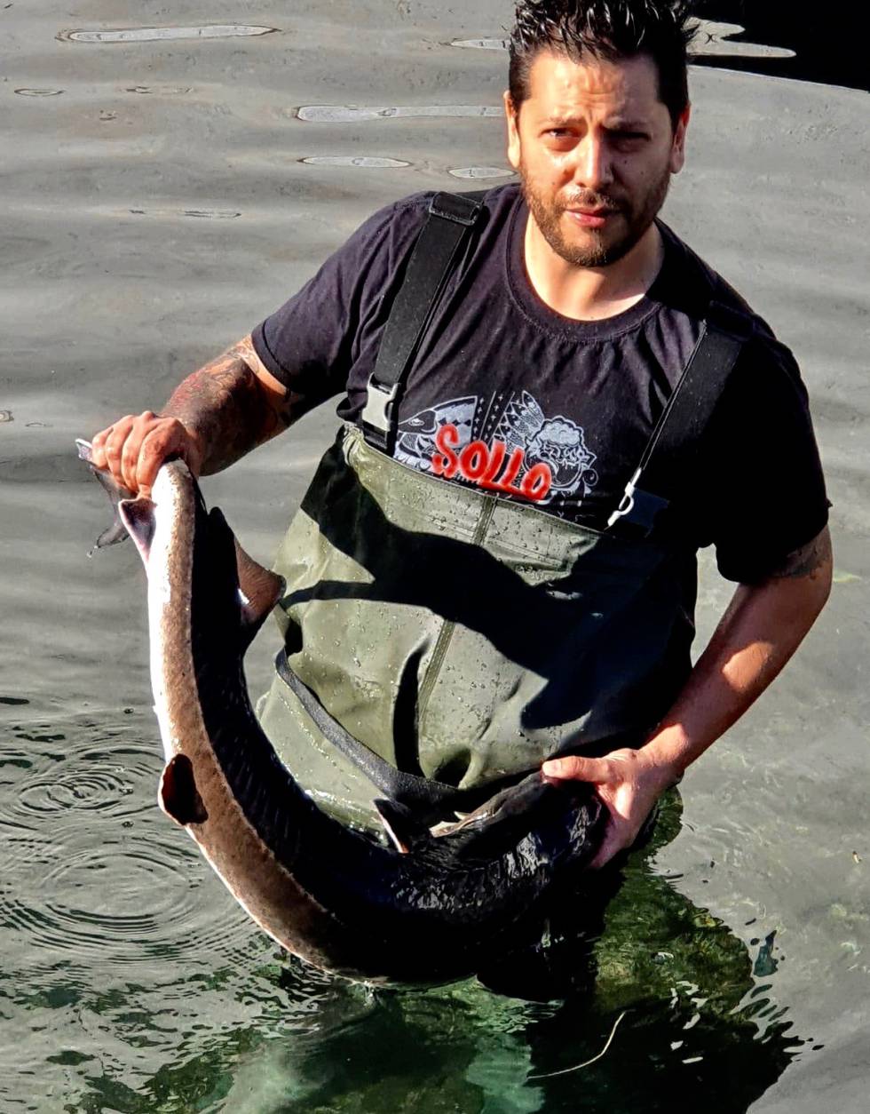 ¿Saturación de caviar? ¿A dónde va a parar la carne de los esturiones?