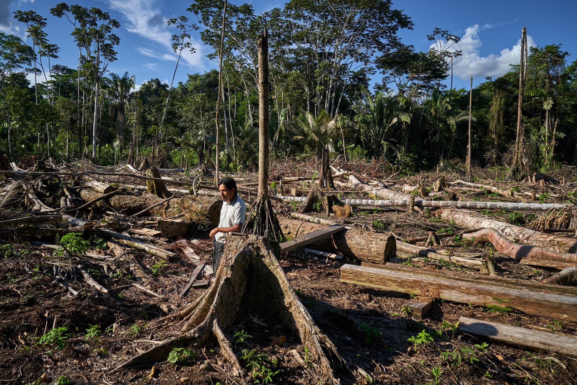 Cuando las infraestructuras penetran en la selva
