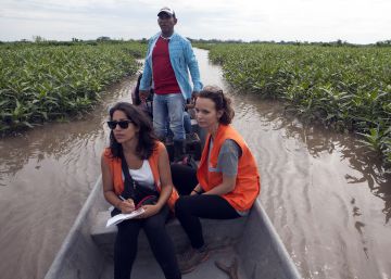 Una red para proteger la vida de los activistas de derechos humanos