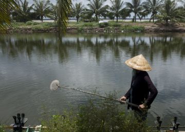 Erosión y cultivos al sur de Vietnam