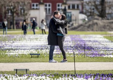 Terapia obligatoria para suavizar el divorcio