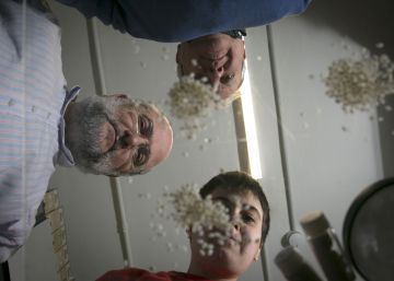 Científicos españoles contra el fraude del arroz