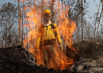El cambio climático avivará los incendios en la selva amazónica
