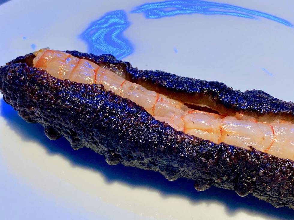 Pepinos de mar, el extraño lujo marino