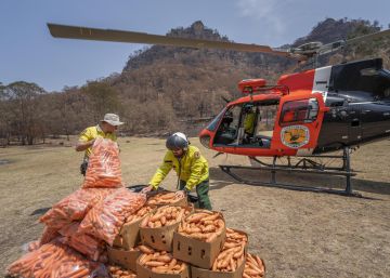 Lanzan comida desde helicópteros para ayudar a la vida silvestre en Australia