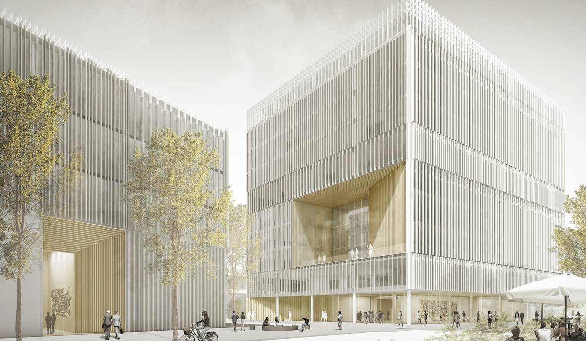 oficinas arquitectura