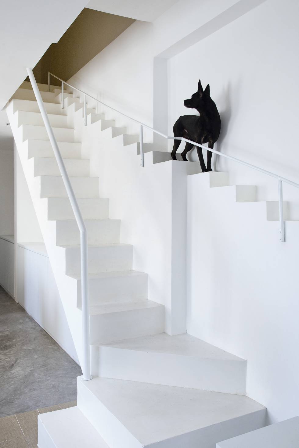 Uma escada para passadas caninas. Quando o arquiteto Joe Chikamori, de Quioto, perguntou à família vietnamita que lhe encomendara o projeto de sua casa na cidade de Ho Chi Minh o que considerava mais importante em sua casa, ele descobriu que a maior preocupação era com os filhotes de sua cachorra. Temiam que a escada fosse muito íngreme e os degraus, altos demais. Para resolver isso, Chikamori inventou uma escada para cães, paralela à usada pela família, próxima à parede, com grade e degraus mais baixos.