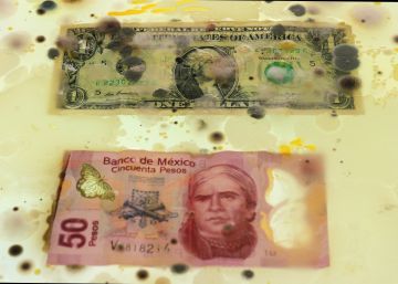 Los billetes concentran hasta 3.000 tipos de microbios