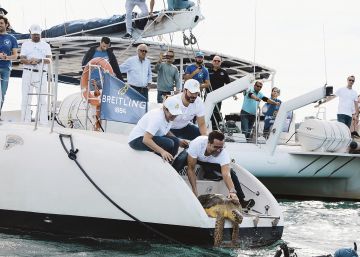 Chefs, relojes de lujo y una misión: salvar el océano