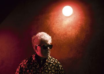 Pedro Almodóvar: la soledad se combate con arte, no con premios