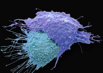 El mayor estudio genómico del cáncer abre la posibilidad de detectarlo antes de que aparezca