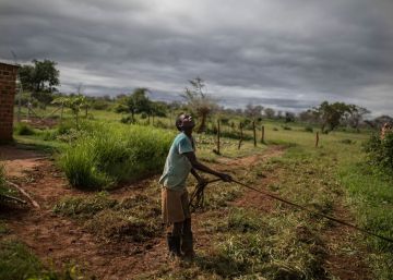 La locura climática provoca una grave hambruna en el sur de África La locura climática provoca una grave hambruna en el sur de África