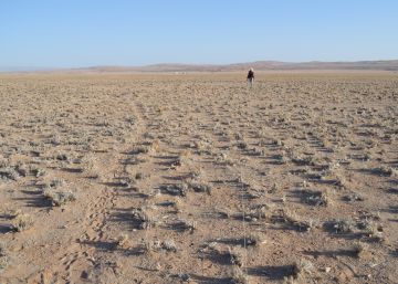 Así se convierte la tierra en un desierto