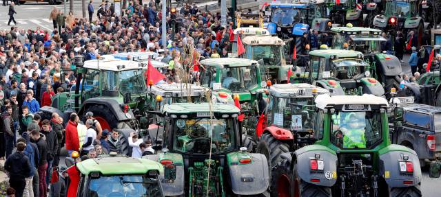 Concentración de protesta de agricultores y ganaderos en Pamplona