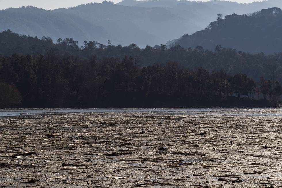 Fotogaleria | La neteja del pantà de Sau després del pas del temporal Glòria