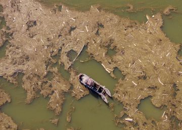 Fotogaleria | La neteja del pantà de Sau després del pas del temporal Glòria